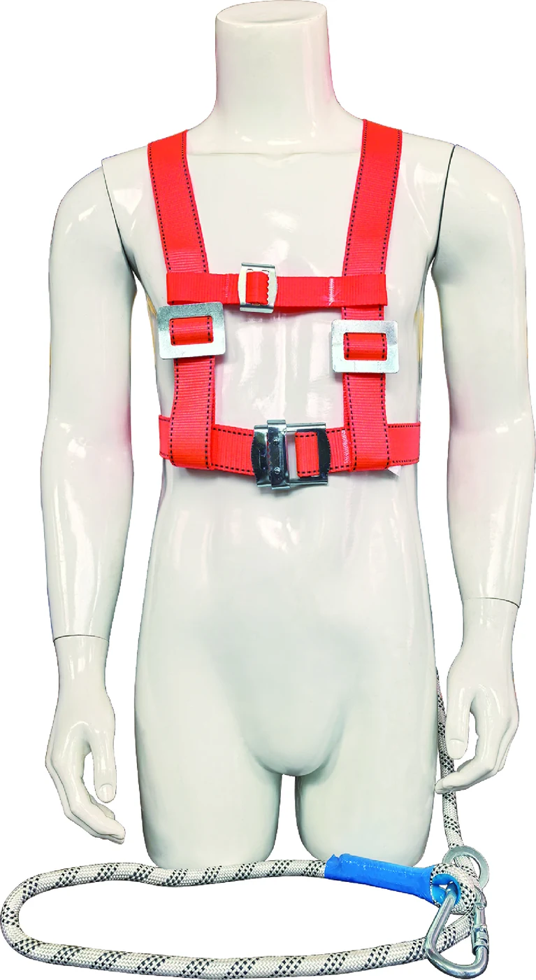 Three-Point Type with Single Small Hook Harness